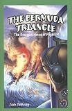 The Bermuda Triangle: The Disappearance of Flight 19 (Jr. Graphic Mysteries)
