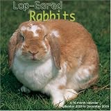 Lop-Eared Rabbits 2009 Wall Calendar