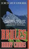 Brules
