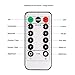 LED String Lights 33ft with 100 LEDs, S&G Battery Operated Fairy String Lights Decorative Copper Wire Starry Lights with Remote Control 8 Modes for Bedroom Wedding, Patio, Parties ( RGB)