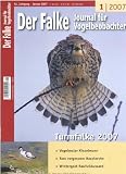 Zoom Produkt-Bild: Der Falke