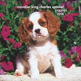 Cavalier King Charles Spaniel Puppies 2008 Mini Wall