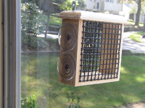 Coveside Window Suet Bird Feeder