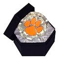 CLEMSON COLLEGE GLASS DIAMOND
