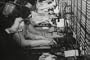 Long Distance Calling: Speeding Speech (1950's) [DVD]