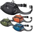 High Sierra Passport Lumbar Pack