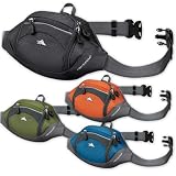 High Sierra Passport Lumbar Pack