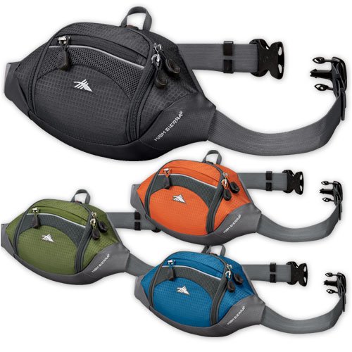 High Sierra Passport Lumbar Pack