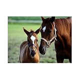 Melissa & Doug MARE & FOAL 60 PC JIGSAW PUZZLE