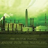 Asinine (Filler Track) [Explicit]