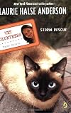Storm Rescue