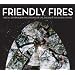 Friendly Fires, Friendly Fires