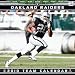 Oakland Raiders 2010 12x12 Team Wall Calendar