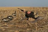 Avery KillerWeed Layout Blind Kits by Avery Outdoors