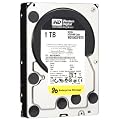 Western Digital RE4 WD1003FBYX 1TB interne Festplatte (8,9 cm (3,5 Zoll), 7200rpm, SATA 3Gb/s, 64MB Cache)