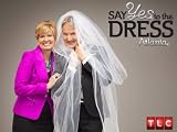 Three Cheers for the Bride!
