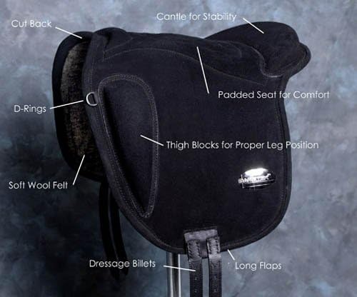 Baretek English Training Pad- Closeout