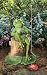 Fishing Frog Garden STATUE lawn Decor fish pond lake NU