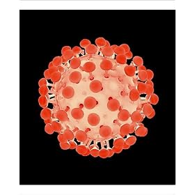 Photographic Prints of HIV particle from Science Photo Library