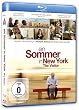 Ein Sommer in New York - The Visitor [Blu-ray]