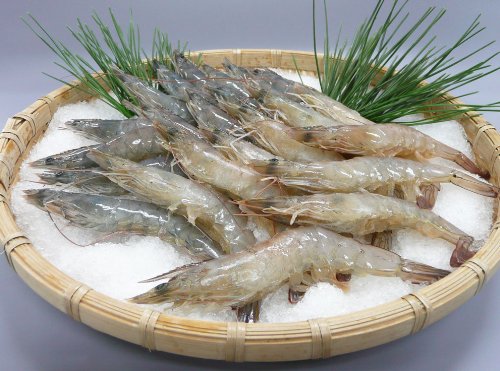 【送料無料】頭から殻まで美味しい！妙高ゆきエビ4,400円Ｂセット（大10尾・中30尾・小200g）嬉しいお料理レシピ付き！