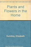 Plants and flowers in the home