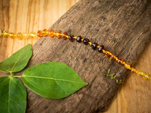 Baby Bee Calm - Baltic Amber Teething Jewelry (Bracelet/Anklet, Rainbow)