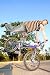 51iwtgTqC9L. SL75  Bmx Freestyle