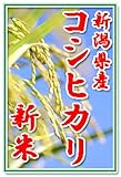 【新米20年産】田辺さん家の有機質肥料100%・低減農薬 新潟県産コシヒカリ100%白米 5kg くっつかないしゃもじ付