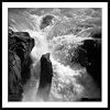 Visit This External Website