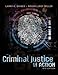Criminal Justice in Action