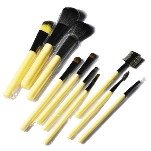 KingMas 10 Pcs Pro Makeup Brush Cosmetic Brushes Set With Case