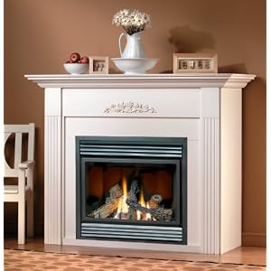 Napoleon BGD36NTR BGD36 Direct Vent Fireplace Direct Vent Gas Fireplace (Zero Clearance Top or Rear Vent) - BGD36NTR