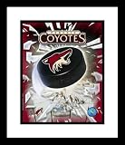 Phoenix Coyotes Framed 8x10 Photo - Team Logo and Puck