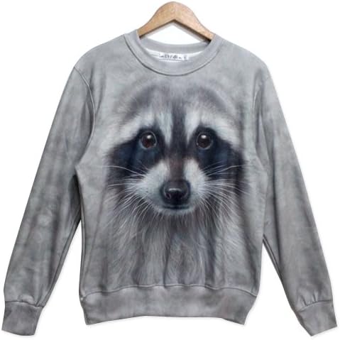 Rocket Guardians of the Galaxy Sweaters Hoodies for Women (L)