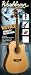 Washburn WD10CEPACK Dreadnought Acoustic Electric Pack, Natural
