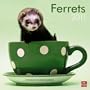 Ferrets 2011 Square 12X12 Wall Calendar