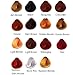 Surya Cream Henna Hair Color - Natural Ingredients