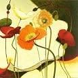 Tres Vigne V Decorative Art Poster Print by Shirley Novak, 27x27