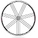 Campagnolo Eurus Clincher Road Bicycle Rear Wheel - Campy Freehub - Black - WH6-EUCR