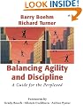 Balancing Agility and Discipline: A Guide for the Perplexed