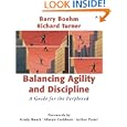 Balancing Agility and Discipline: A Guide for the Perplexed