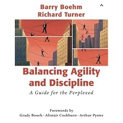 Balancing Agility and Discipline: A Guide for the Perplexed