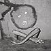 Roger Ballen: Boarding House