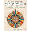 History of the Muslim World, A (since 1260) ~ Vernon O. Egger