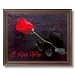 Framed Cherry Rose Stem Flower I Love You Contemporary Pictures Art Print