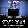 Server Down: A Mad Dog and Englishman Mystery