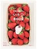 CHIAKI’SいちごBOOK