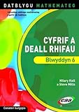 Cyfrif a deall rhifau. Blwyddyn 6