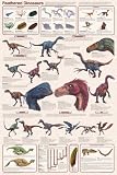 FEATHERED DINOSAURS - 24x36 - ART PRINT / POSTER